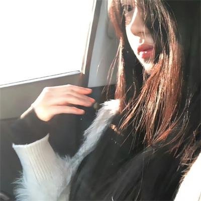 象宫龙虎斗